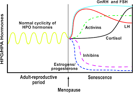 Menopause Fsh Levels Chart Www Bedowntowndaytona Com
