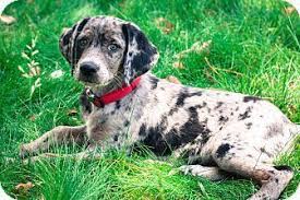Pin On Too Cute