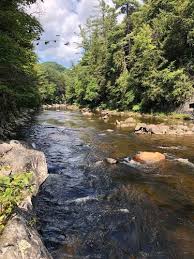 For residents of keene, new hampshire, gray is the new black. Best Wild Flowers Trails In Keene New Hampshire Alltrails