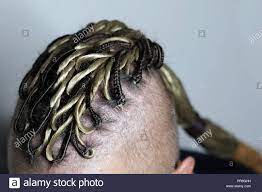 Irokesen Frisur Stockfotos Und Bilder Kaufen Alamy