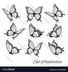 Set butterflies flying in different Royalty Free Vector
