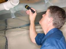 We'll look at how the size of the home factors in the cost of mold inspection, and who to call to get a decent mold inspection for a fair price. Mold Inspection Costs Hgtv