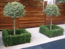 Wendy Stokes Beautiful Garden Solutions Back Garden Design Contemporary Garden Garden Design