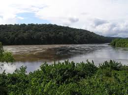 Located on the equator, gabon is bordered by equa. Ù…Ø¹Ù„ÙˆÙ…Ø§Øª Ø¹Ù† Ø¬Ù…Ù‡ÙˆØ±ÙŠØ© Ø§Ù„ØºØ§Ø¨ÙˆÙ† Ù…ÙˆØ³ÙˆØ¹Ø© ÙˆØ±Ù‚Ø§Øª