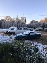 Snow Flurries Fall In Brevard': Arctic Blast Struck 44 Years Ago, Freezing  Florida