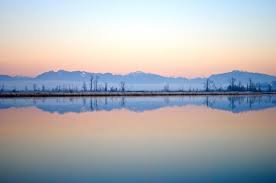 Here are some more beautiful Ladner pics