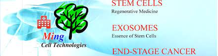 Aa medical services sdn bhd is a company initiated by 3 friends (all doctors) in early 2016. Ming Medical Sdn Bhd Jobs And Careers Reviews