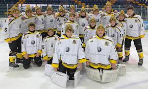 Check spelling or type a new query. Mutzen Fur Eishockeymannschaften Und Eishockeyfans