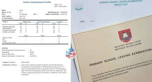 • reduce fine differentiation of students • reflect a student's level of achievement regardless of how his peers have done. The New Psle Scoring Cut Off Points For Secondary Schools Placement