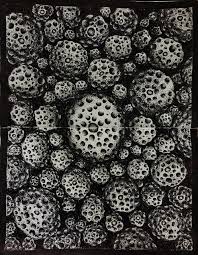 Trypophobia Stippling Art Trypophobia Stippling Art Advanced Higher Art