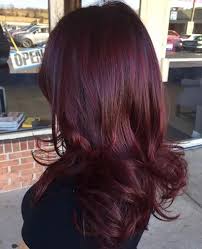 Unicorn hair dye in chesnut transforms hair into a magical shade of maroon brown; 15 Best Burgundy Hair Color Shades Available In India Styles At Life