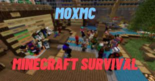 This tutorial is intended to help advise the player when playing on a public survival server with strangers. Top 10 Best Minecraft Survival Servers In 2021