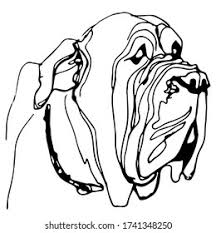 More from this artist similar designs. Vector Linear Freehand Drawing Dog Breed Stock Vector Royalty Free 1741348250