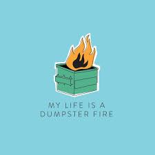 You Know How Some Days Or Weeks Or Months Or Years Your Life Feels Like A Complete Dumpster Fire Well On Those Days W Dumpster Fire Fire Drawing Dumpster