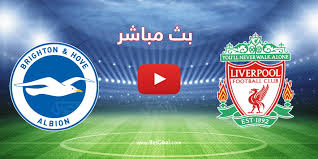موقع يلاشوت الجديد الرسمي مشاهدة أهم مباريات اليوم بث مباشر بدون تقطيع رابط yalla shoot new حصري الي. Ø¨Ø« Ù…Ø¨Ø§Ø´Ø± Ù…Ø¨Ø§Ø±Ø§Ø© Ù„ÙŠÙØ±Ø¨ÙˆÙ„ ÙˆØ¨Ø±Ø§ÙŠØªÙˆÙ† Ø§Ù„ÙŠÙˆÙ… ÙÙŠ Ø§Ù„Ø¯ÙˆØ±ÙŠ Ø§Ù„Ø¥Ù†Ø¬Ù„ÙŠØ²ÙŠ Ø¨Ø§Ù„Ø¬ÙˆÙ„