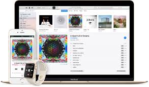 How To Enable High Quality Streaming In Apple Music Over Cellular 9to5mac