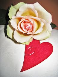 If you still single and but want to find your valentine then this is your last chance. White Rose Rose Heart Valentine S Day Greeting I Love You Mother S Day Wedding Day Piqsels