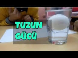 Tuzun Gucu Yogunluk Deneyi Yumurta Deneyi Youtube
