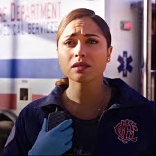 Chicago Fire Dawson and Louie