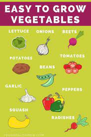 17 Key Vegetable Gardening Tips For Beginners Easy Vegetables To Grow Vegetable Garden Planner Vegetable Garden For Beginners