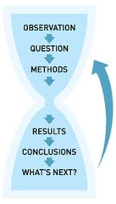 We did not find results for: Scientific Method Essay Writing Tips For Researched Papers