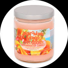 4.9 out of 5 stars based on 559 product ratings(559). Specialty Pet Products Pet Odor Exterminator Candles Sprays