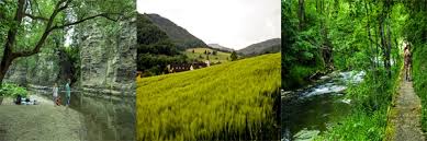 There are 255 hotels and other accommodations in the surrounding area; Wanderung In Schuld An Der Ahr Durchstreifen Erleben