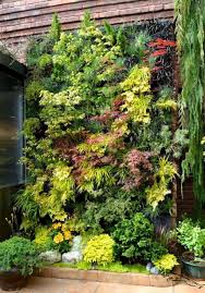 Wir Shabby Gartner Im Marz Seite 10 Mein Schoner Garten Forum 229067 Garten Wir Sha In 2020 Vertikaler Garten Diy Garten Design Minimalistischer Garten