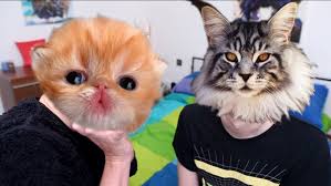 Pin By Ur Mum S A Door On Funny Fandoms Dan And Phill Dan And Phil Phil