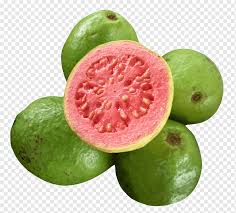 Es batu, es krim sundae. Ilustrasi Lima Buah Jambu Hijau Jus Jambu Jambu Buah Tropis Jambu Biji Makanan Alami Makanan Jeruk Png Pngwing