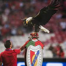 All You Need To Know About Benfica