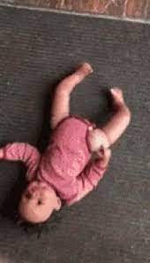 We did not find results for: Baby Fall Gifs Tenor