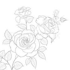 Abstract Rose Free Hand Drawing In A Graphic Style Points And Lines Can Be Used For Drawing Tattoo Vector Colour Roses Drawing Rose Outline Flower Drawing