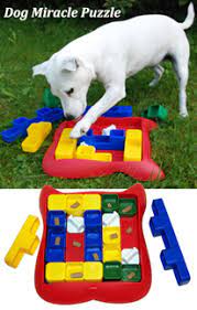 Nina ottosson interactive dog miracle puzzle replacement piece toy blue plastic preowned has been in storage and should be washed prior to initial use. Dog Enrichment Dog Activities Cat Toys