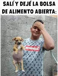 Perrito Memes Divertidos Meme Divertido Meme Gracioso