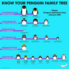 Etymology Of Penguin Names Penguins International