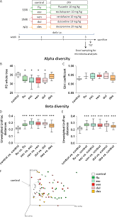 Antidepressants Affect Gut Microbiota And Ruminococcus