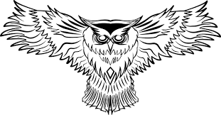 Kumpulan beragam sketsa burung hantu mudah, berwarna, di pohon, burung hantu 3d, terbang, dan sketsa burung hantu untuk kolase. 200 Kostenlose Raptor Adler Illustrationen Pixabay