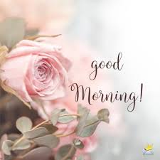 Sending good morning flower images to your beloved ones strongly convey the beautiful bond between you both and also make their day start off with positive thoughts. 79 Good Morning Images With Flowers Have A Beautiful Day