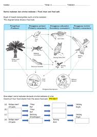 Kelapa sawit is a small town in kulai district, johor, malaysia. Bab 2 Rantai Dan Siratan Makanan Versi English Worksheet