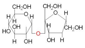 Maybe you would like to learn more about one of these? Why Do Other Sugars Melt Whereas Sucrose Decomposes Chemistry Stack Exchange