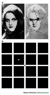 Image result for Visual Fixation