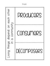 Producers Consumers And Decomposers Foldable Science Lessons Elementary Science Fourth Grade Science