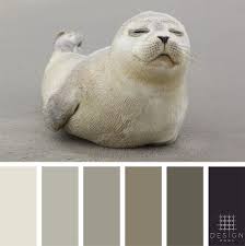 Seal Color Palette Outside Paint Colors Paint Color Schemes Pool Colors