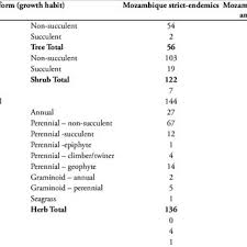Image result for Schizochilus lepidus