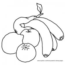 The grain food group is the orange part of the new myplate and the food pyramid. Food Pyramid Coloring Pages Hubpages
