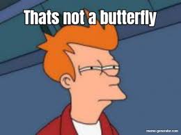 Sorry for the butterfly meme pictwitter. Thats Not A Butterfly Meme Generator