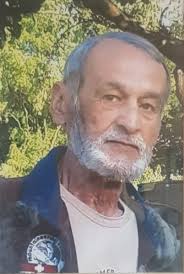 Bilder von Peter Laszlo Hauser