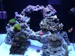 A good, healthy aquarium substrate is fluffy and condensed, allowing for proper nutrient circulation and root penetration. 17 Best Ideas About Reef Aquascaping On Pinterest Reef Aquarium Saltwater Tank And Nano Reef Freshwater Aquarium Aquascape Design Ideas 75 Gallon Aquarium Aquascape 90 Gallon Reef Aquascape
