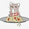 Because bagelfishtrousers collects pictures of cats eating spaghetti. Https Encrypted Tbn0 Gstatic Com Images Q Tbn And9gctnokoia1y4 Dxfqbya Xxgnjixtmqo7xveix1y4zffcyfb7 Ea Usqp Cau